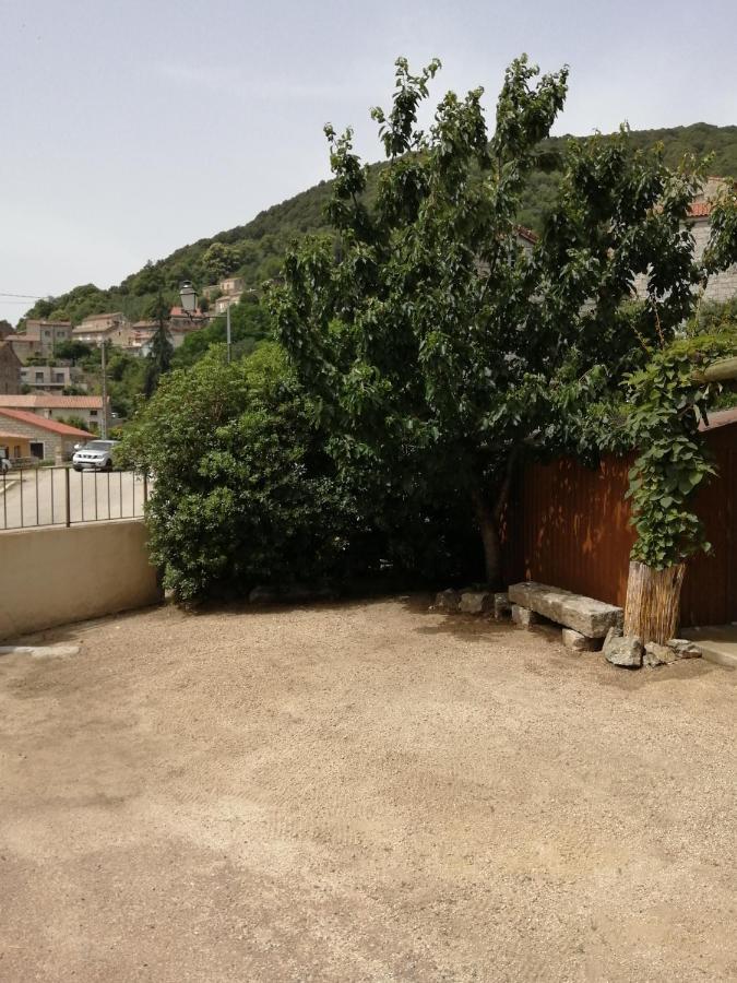 Fresi Gustave Appartement