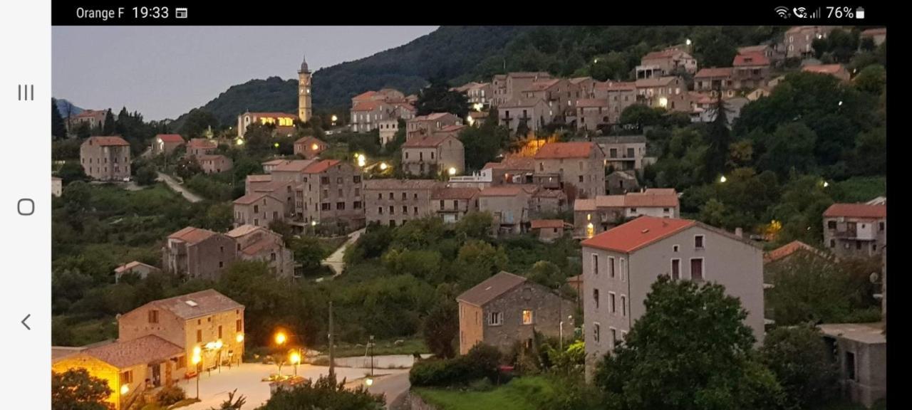 Appartement Fresi Gustave *